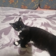 ���� ������ ���. ���� ������ � �� ��������