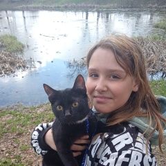 Подробнее об объявлении «Пропал котёнок Томилино» Фото: пропала кошка  «Пропал котёнок Томилино» в г. Томилино