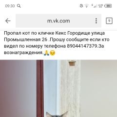 Подробнее об объявлении «Пропал кот пожалуйста помогите найти кота Городище (Волгоградская обл.)» Фото: пропала кошка Сибирская кошка «Пропал кот пожалуйста помогите найти кота...» в г. Городище (Волгоградская обл.)
