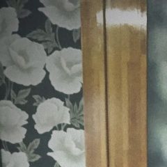 Подробнее об объявлении «Мозырь Пропала кошка» Фото: пропала кошка Сфинкс «Мозырь Пропала кошка» в г. Мозырь
