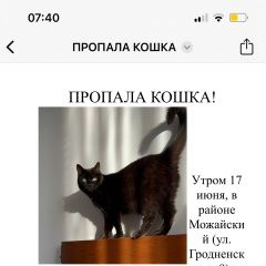 Подробнее об объявлении «Пропала кошка черная кошка Москва» Фото: пропала кошка  «Пропала кошка черная кошка Москва» в г. Москва