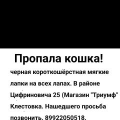 Подробнее об объявлении «Пропала кошка черная Соликамск» Фото: пропала кошка  «Пропала кошка черная Соликамск» в г. Соликамск