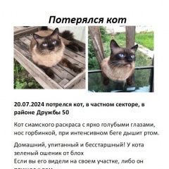 Подробнее об объявлении «Пропал кот Красноярск» Фото: пропала кошка  «Пропал кот Красноярск» в г. Красноярск