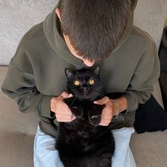 Подробнее об объявлении «Пропал кот друзья, помогите найти домашнего любимца Орел» Фото: пропала кошка Шотландский терьер «Пропал кот друзья, помогите найти домашнего...» в г. Орел
