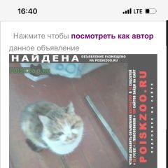 Подробнее об объявлении «Пропала кошка потерялась кошечка Байкальск» Фото: пропала кошка  «Пропала кошка потерялась кошечка Байкальск» в г. Байкальск