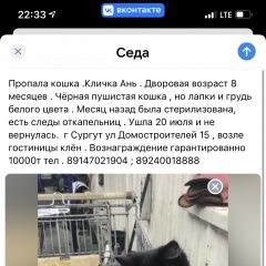 Подробнее об объявлении «Сургут Пропала кошка кличка ань» Фото: пропала кошка  «Сургут Пропала кошка кличка ань» в г. Сургут