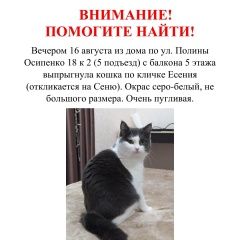 Подробнее об объявлении «Пропала кошка Москва» Фото: пропала кошка  «Пропала кошка Москва» в г. Москва