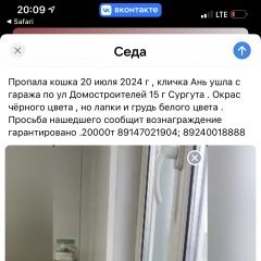 Подробнее об объявлении «Сургут Пропала кошка кличка ань» Фото: пропала кошка  «Сургут Пропала кошка кличка ань» в г. Сургут