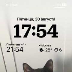Подробнее об объявлении «Пропала кошка кот филипп. на ошейнике телефон. Сергиев Посад» Фото: пропала кошка  «Пропала кошка кот филипп. на ошейнике телефон....» в г. Сергиев Посад