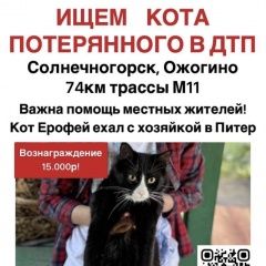 Подробнее об объявлении «Пропал кот черно-белый кот Солнечногорск» Фото: пропала кошка  «Пропал кот черно-белый кот Солнечногорск» в г. Солнечногорск