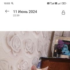 Подробнее об объявлении «Пропал кот Владимир» Фото: пропала кошка  «Пропал кот Владимир» в г. Владимир