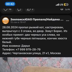 Подробнее об объявлении «Пропал кот Москва» Фото: пропала кошка  «Пропал кот Москва» в г. Москва
