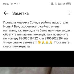 Подробнее об объявлении «Пропала кошка Энгельс» Фото: пропала кошка  «Пропала кошка Энгельс» в г. Энгельс