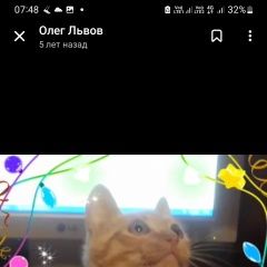 Подробнее об объявлении «Пропал кот рыжий Саратов» Фото: пропала кошка  «Пропал кот рыжий Саратов» в г. Саратов