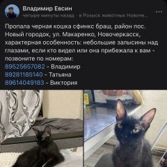 Подробнее об объявлении «Пропала кошка чёрный сфинкс браш юкки помогите найти Новочеркасск» Фото: пропала кошка Сфинкс «Пропала кошка чёрный сфинкс браш юкки помогите...» в г. Новочеркасск