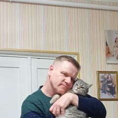 Подробнее об объявлении «Пропала кошка серая британка Новочеркасск» Фото: пропала кошка Британская короткошерстная кошка «Пропала кошка серая британка Новочеркасск» в г. Новочеркасск