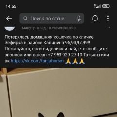Подробнее об объявлении «Северск Пропала кошка по кличке зефирка» Фото: пропала кошка  «Северск Пропала кошка по кличке зефирка» в г. Северск
