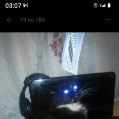 Подробнее об объявлении «Донецк (ДНР) Пропал кот помогите найти котика» Фото: пропала кошка Шведский лаппхунд «Донецк (ДНР) Пропал кот помогите найти котика» в г. Донецк (ДНР)