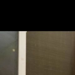 Подробнее об объявлении «Пропал кот любимец семьи Мелеуз» Фото: пропала кошка  «Пропал кот любимец семьи Мелеуз» в г. Мелеуз