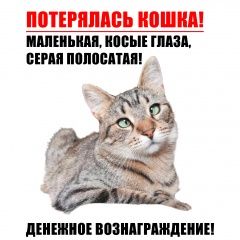 Подробнее об объявлении «Пропала кошка Санкт-Петербург» Фото: пропала кошка  «Пропала кошка Санкт-Петербург» в г. Санкт-Петербург