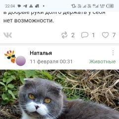 Подробнее об объявлении «Пропал кот михайловск Михайловск Ставропольский край» Фото: пропала кошка  «Пропал кот михайловск Михайловск Ставропольский...» в г. Михайловск Ставропольский край