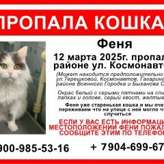 Подробнее об объявлении «Липецк Пропала кошка» Фото: пропала кошка  «Липецк Пропала кошка» в г. Липецк