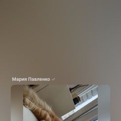 Подробнее об объявлении «Дубна Пропал кот рыжий кот» Фото: пропала кошка  «Дубна Пропал кот рыжий кот» в г. Дубна