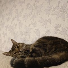 ����: ������� �����  �������� ����� ������ � �. �����