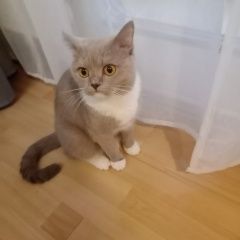 ����: ������� �����  ������� ������ ���, ����� ���� � �. ������