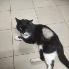 ����: ������� �����  ������� ��� ����� ����� ��������� � �. ���������