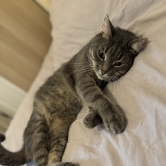 ����: ������� �����  ������� ��� ������ � �. ������