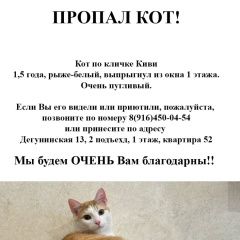 Подробнее об объявлении «Пропал кот Москва» Фото: пропала кошка  «Пропал кот Москва» в г. Москва