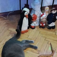 ����: ������� �����  �������� ������ ��� � �. �������