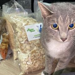 ����: ������� �����  ������� ������� ����� ������� ����� � �. ������