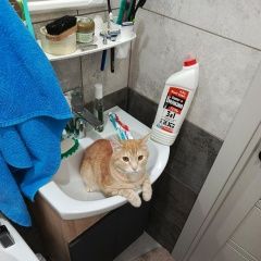 ����: ������� �����  ��������� ������ ��� � �. ��������