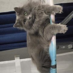 ����: ������� �����  ������� ��� ���������� ������ � �. ���������� �����