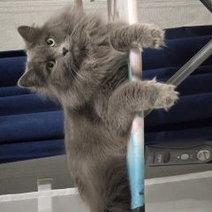 ����: ������� �����  ������� ��� ���������� ������ � �. ���������� �����