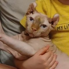 ����: ������� ����� ������ ������� ������ ��� �������� ����� � �. ������