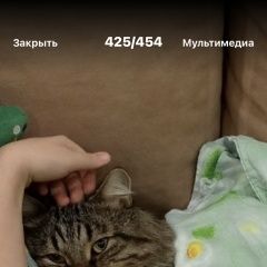 Подробнее об объявлении «Пропал кот очень переживаем за него Нижний Новгород» Фото: пропала кошка  «Пропал кот очень переживаем за него Нижний...» в г. Нижний Новгород