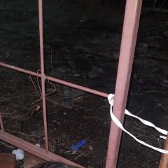 Подробнее об объявлении «Пропал кот Благовещенск (Амурская обл.)» Фото: пропала кошка  «Пропал кот Благовещенск (Амурская обл.)» в г. Благовещенск (Амурская обл.)