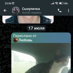 Подробнее об объявлении «Пропала кошка айса. солнечный район. Омск» Фото: пропала кошка  «Пропала кошка айса. солнечный район. Омск» в г. Омск
