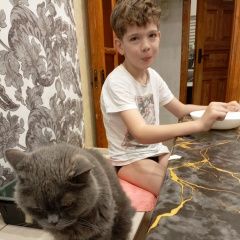 Подробнее об объявлении «Пропала кошка кот Бобруйск» Фото: пропала кошка  «Пропала кошка кот Бобруйск» в г. Бобруйск