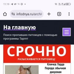 Подробнее об объявлении «Пропала кошка помогите найти кошку Санкт-Петербург» Фото: пропала кошка  «Пропала кошка помогите найти кошку Санкт-Петербург» в г. Санкт-Петербург