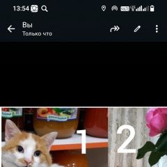 :            . 