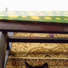 :      22. 09. 2025  ...  .  ()