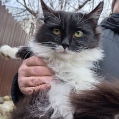 :       ( .)  .  ( .)