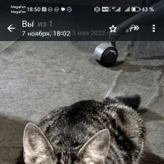 :       3, 5  11, 05, 2025.   . 