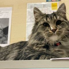 ����: ������� �����  ������� ������ 6-7 ������� ������ � �. ������