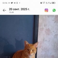 ����: ������� �����  �������� ������ ��� � �. �������