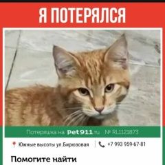 ����: ������� ����� ����-��� ������-��������� ������ ������ � �. �����-���������